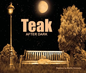 Image of Teak After Dark - CD of Remixes by Martin Kennedy