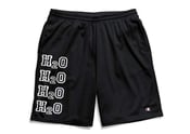 Image of XL H2O Mesh Champion Shorts w Pockets