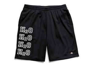 Image of XL H2O Mesh Champion Shorts w Pockets