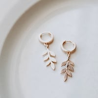 Image 1 of Autumn