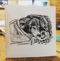 Image 5 of Pet Portraits