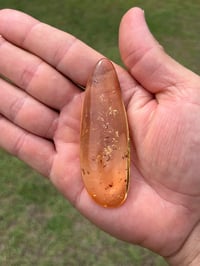 Image 13 of Copal Amber With Preserved Insects #2629