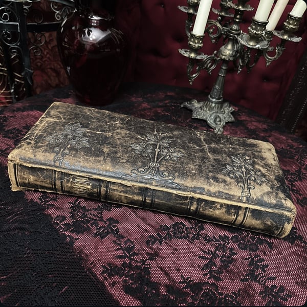 Image of Victorian Cabinet Card Photo Album