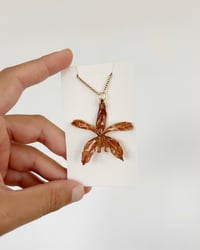 Image 5 of Orquídeas | collares