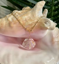 Image 2 of Scallop Shell Necklace N174
