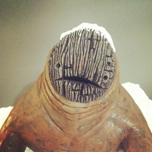 Image of Trees Fall and Shadows Rise 1