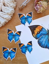 Image 2 of Oak Leaf Butterfly sticker