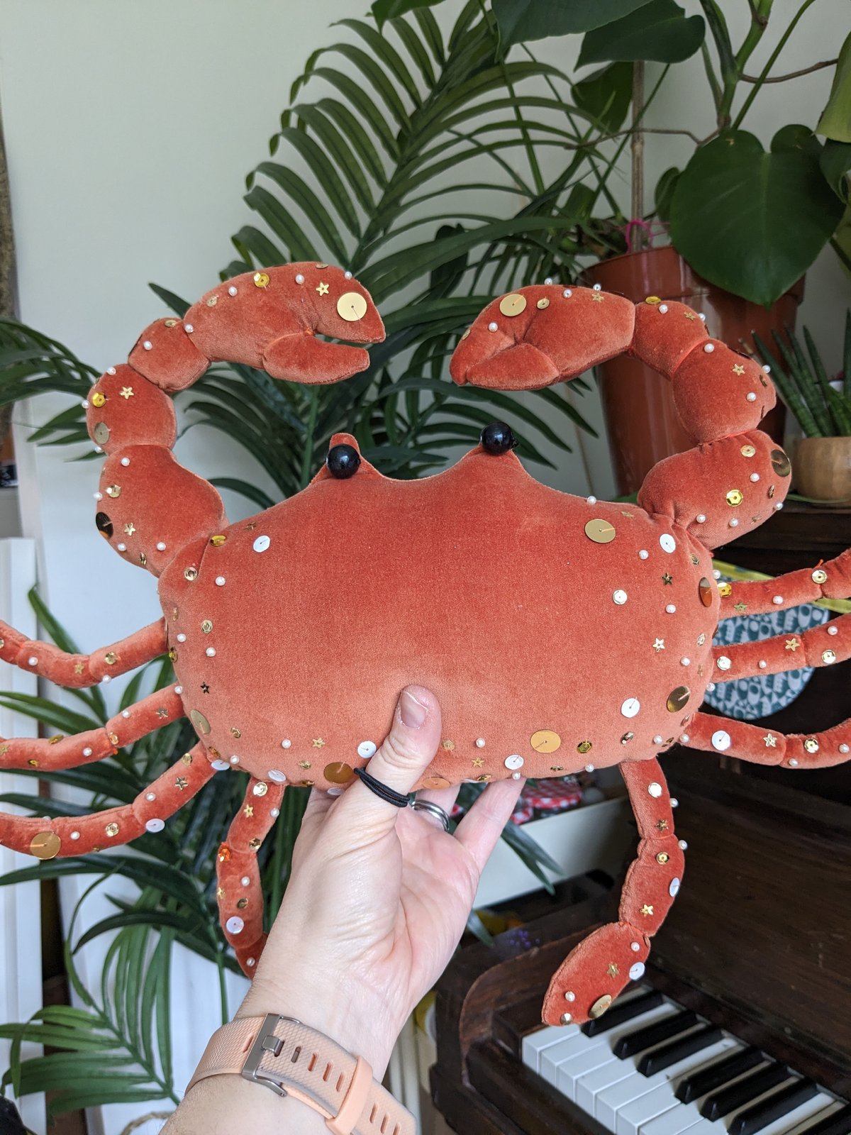 Image of Velvet Crab Wall Decoration