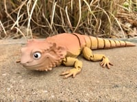 Image 2 of Bearded Dragon With Choice of Eye Color - 3D Printed Flexi Lizard