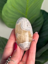 Image 4 of MEXICAN LACE AGATE SHIVA F