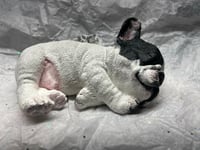 Image 10 of Custom French Bulldog Figurine Only Handpainted To Your Dog's Photo