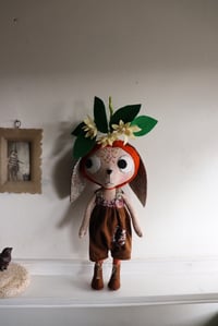 Image 19 of Clementine Blossom Kitty 