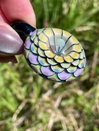 Image 5 of Lime Spring 