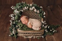 Image 8 of Eucalyptus and delicate white flowers set