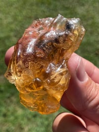Image 8 of Amber Specimen #1944