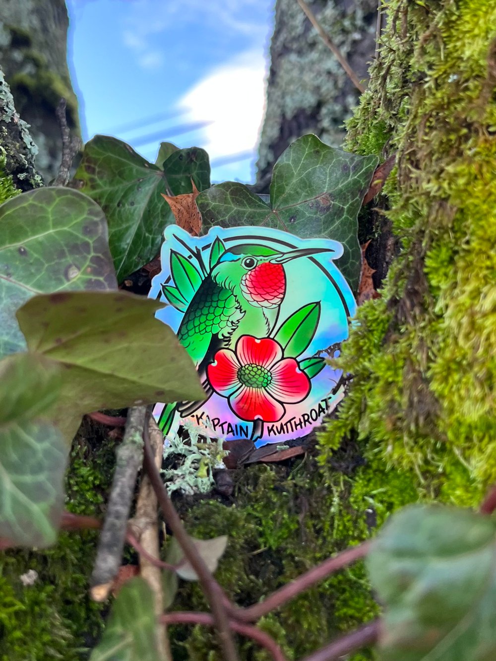 Hummingbird 