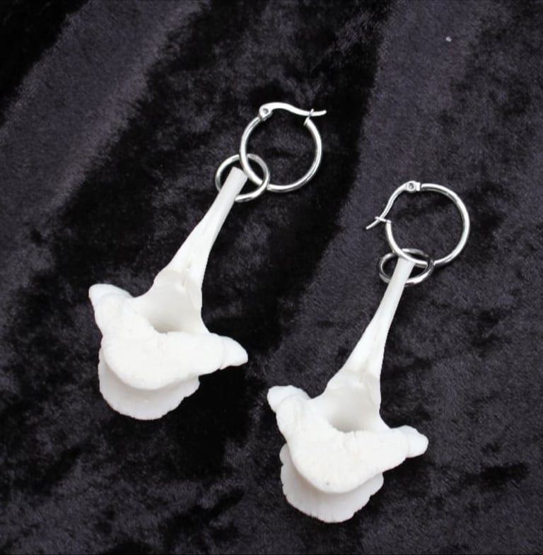 dead good sheep vertebrae earrings Image 5