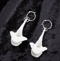 Image 5 of dead good sheep vertebrae earrings