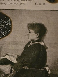 Image 8 of Statement "Lullaby"  1897 Taxiderny orbweaver Spider & Preserved Web