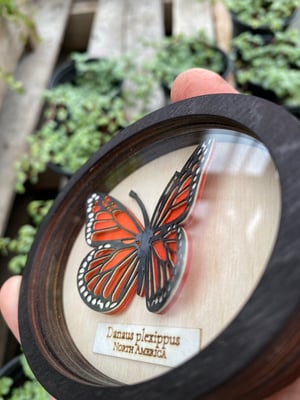 Image of Layered Wood Ornament - Monarch Specimen