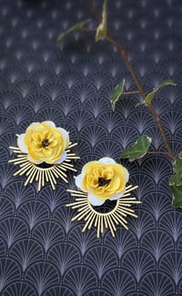 Image 5 of Centifolias Cabbage Roses 