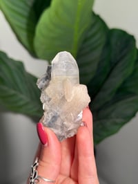 Image 1 of BOWTIE STILBITE X DIAMOND APOPHYLITE -INDIA- F