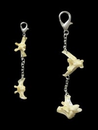 Image 1 of vertebrae charm set