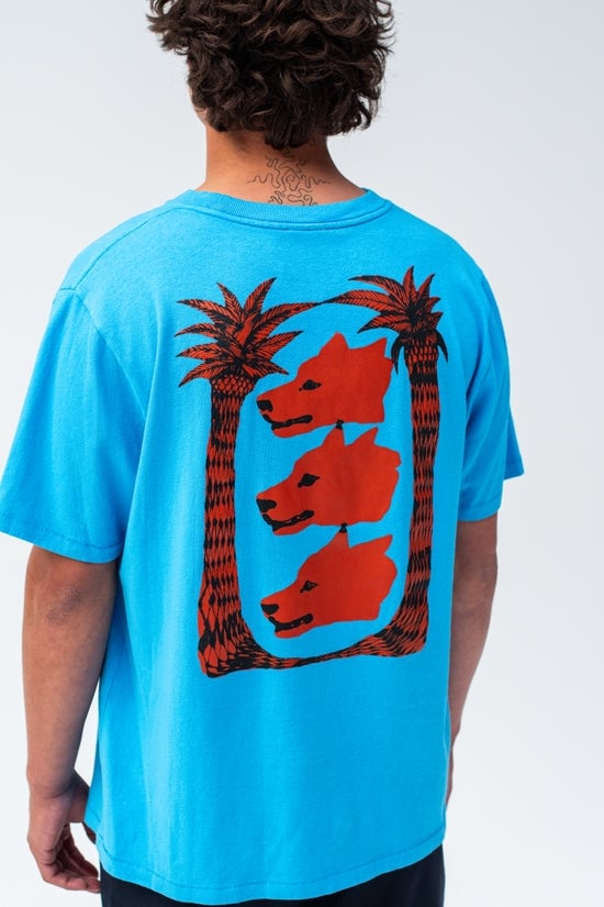 Image of TACHO KWONNY WILD DOGS BLUE