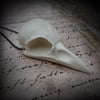 Crow Skull Cast Bone Resin Replica Crow Necklace 2.5" Skull