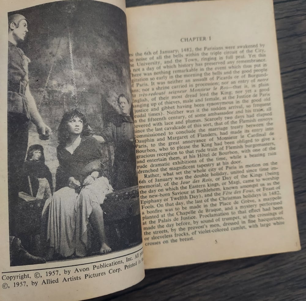 The Hunchback of Notre Dame, by Victor Hugo