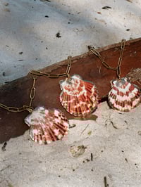 Image 4 of Sunkissed Shell Necklace