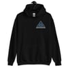 ZDC Triangle Unisex Hoodie