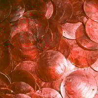 Image 4 of Seashell Baguette kit