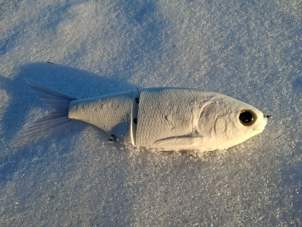 Image of Snack Shad blank
