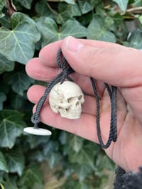 Image 2 of Fallow antler Skull pendant 