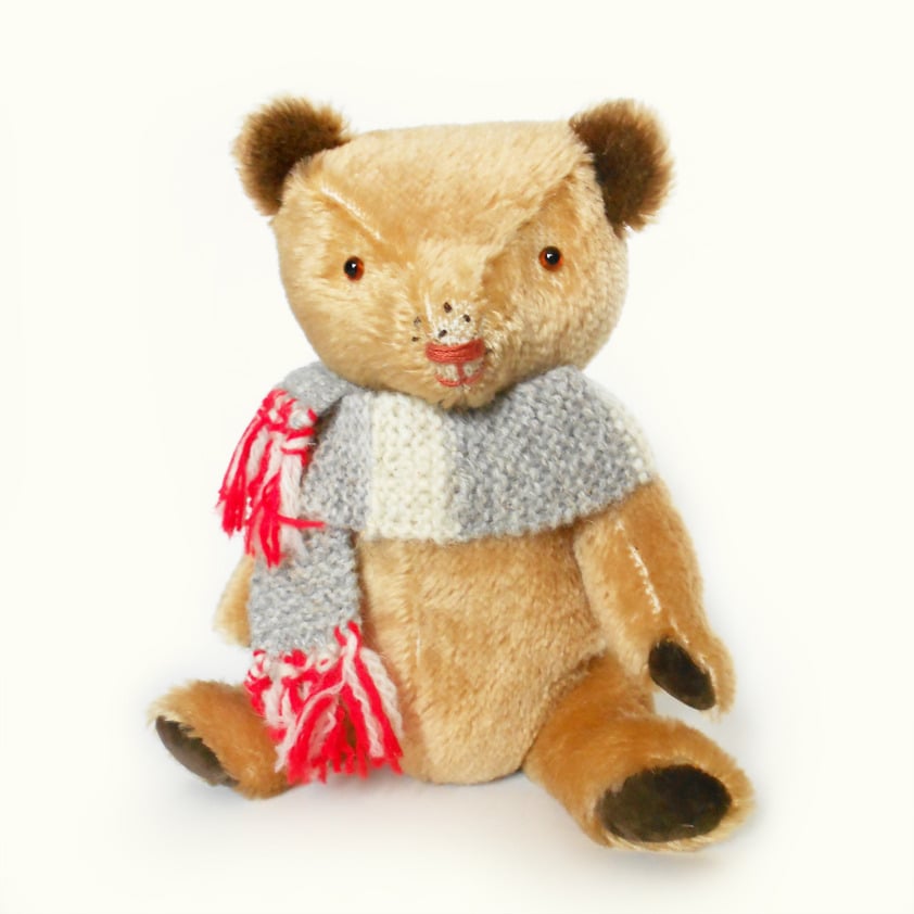 Image of Seamus Bear