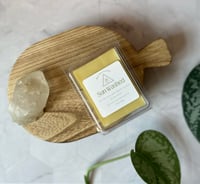 Image 1 of Summer Wax Melts