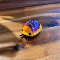 Image 2 of Jupiter isopod desk buddy