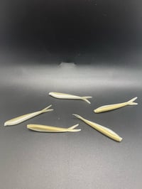 Image 3 of 2 5/8" Skinny Minnow - Minnow