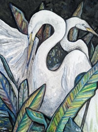 (r)Egrets
