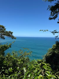 Image 20 of Paréo Baleine Céleste 