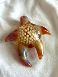 Image 1 of Wild Honey Amber Space Key