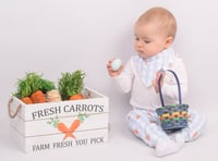 Image 3 of Spring photography sessions