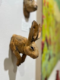 Image 4 of To cook your Hare, you must first catch it- Julie Kradel