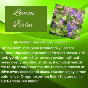 Image of Nervine Healing Set