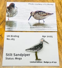 Image 1 of Stilt Sandpiper - No.165 - UK Birding Pins copy