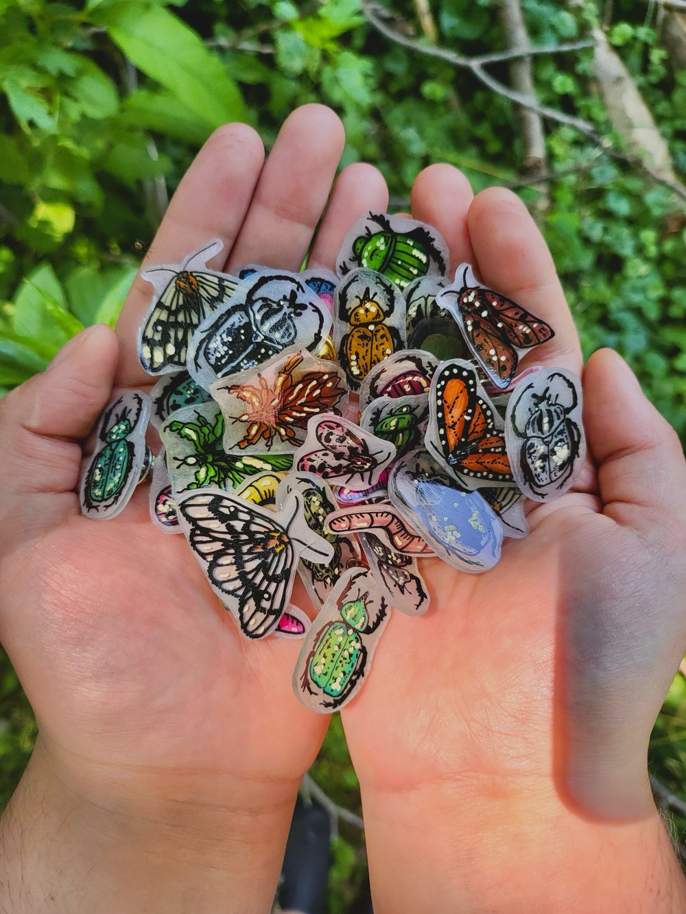 Image of Mystery Bug Pins ( 4 count )