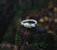 Image 2 of Peridot Portal