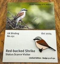 Image 1 of Red-backed Shrike - No.151 - UK Birding Pins 