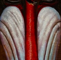 Image 2 of The Guardian